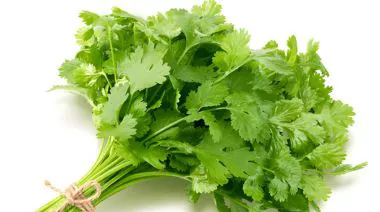 garnishing-instructions-image